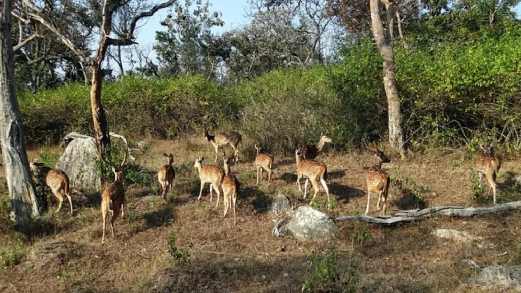 Katepurna Wildlife Sanctuary