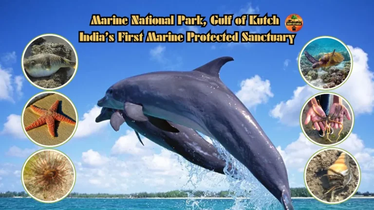 Marine National Park, Gulf of Kutch