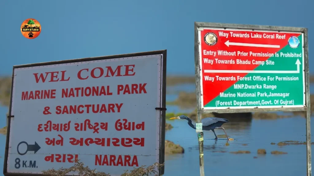 Marine National Park, Gulf of Kutch