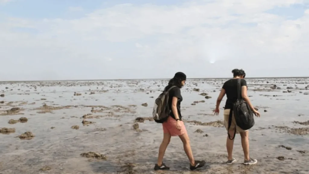 Marine National Park, Gulf of Kutch