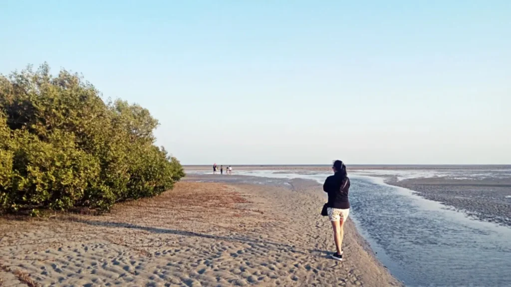 Narara Marine National Park Ticket Price and Timings