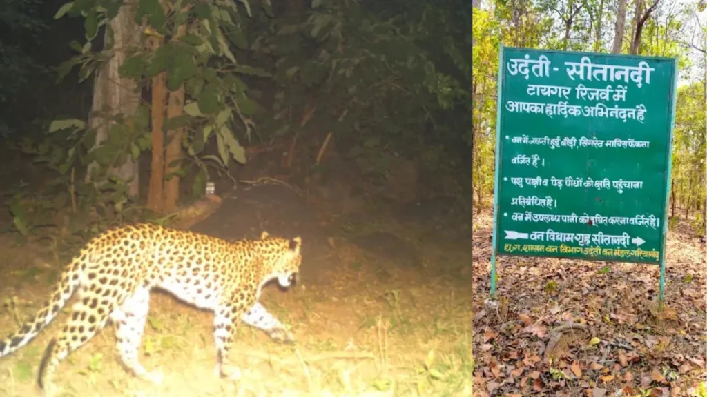 Udanti-Sitanadi Tiger Reserve