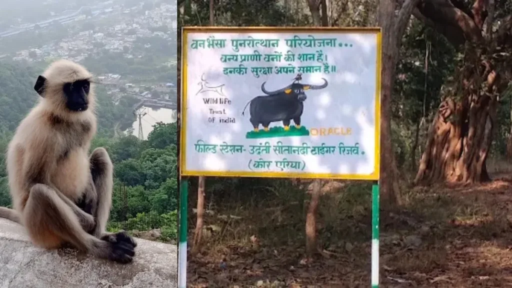 Udanti-Sitanadi Tiger Reserve