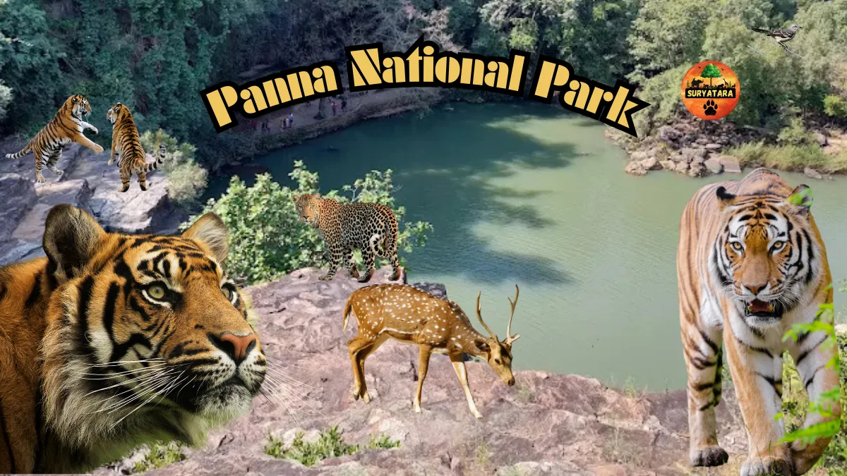 Panna National Park