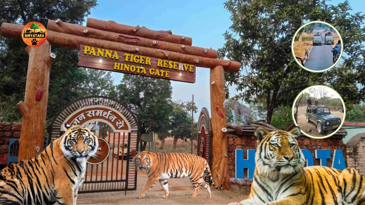 Panna Tiger Reserve Ticket Price-Safari Timings