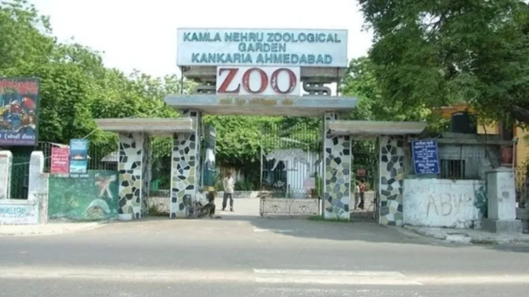 Kankaria Zoo Timings