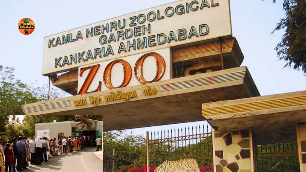 Kankaria Zoo Ticket Price