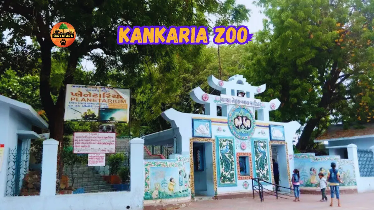 Kankaria Zoo Timings