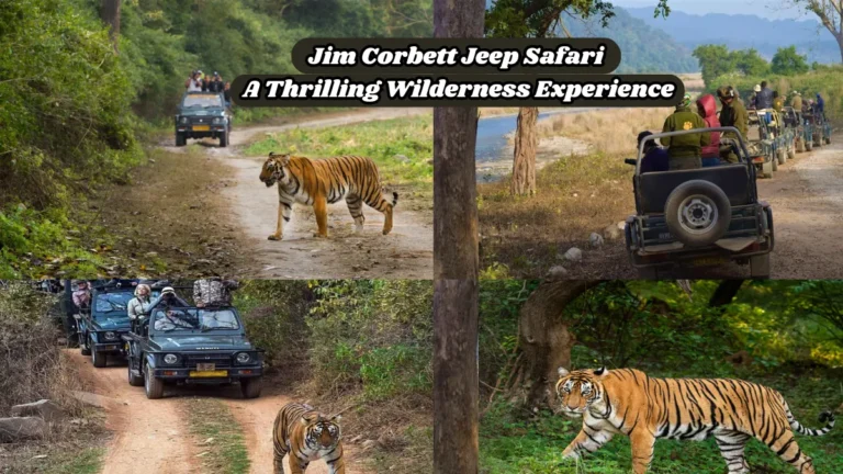 Jim Corbett Jeep Safari