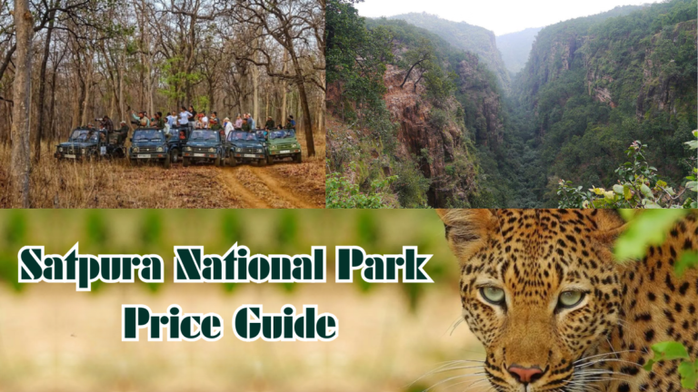 Satpura National Park Price Guide