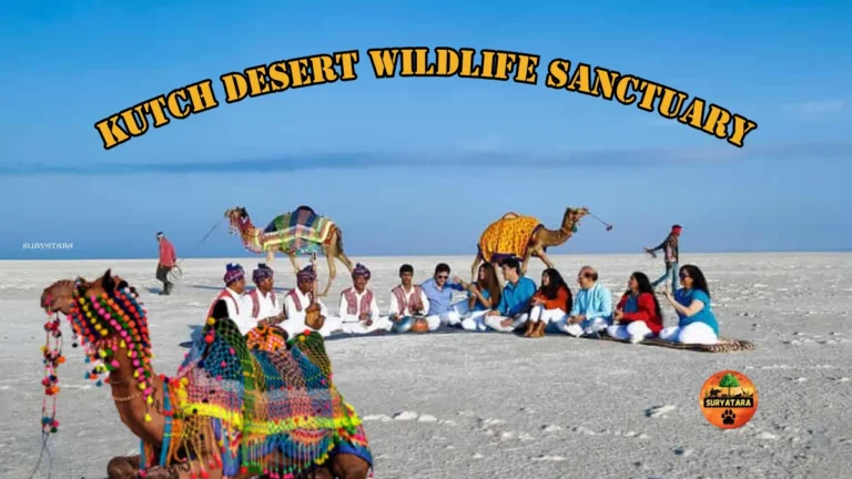 Kutch Desert Wildlife Sanctuary