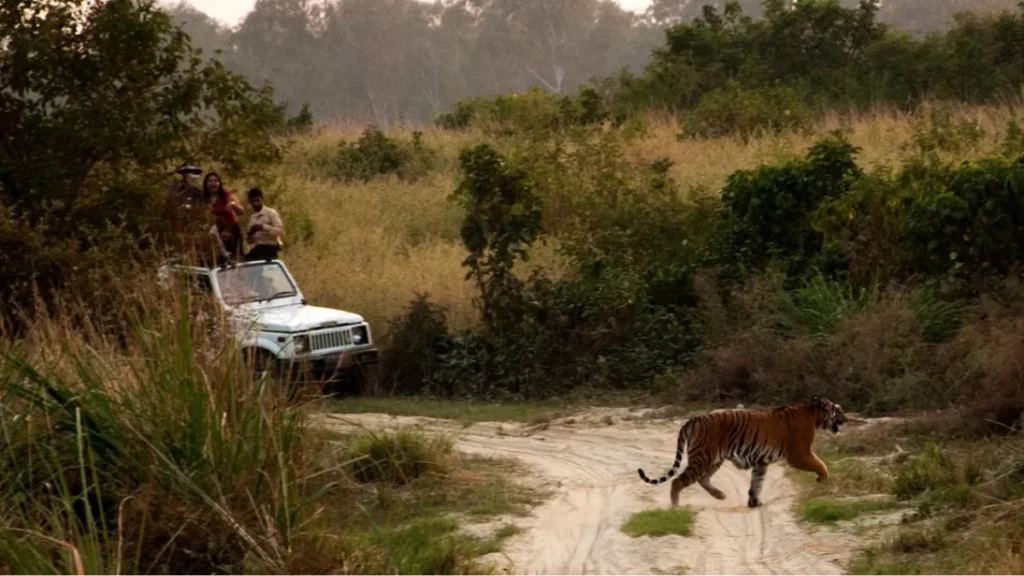 Badalkhol Wildlife Sanctuary