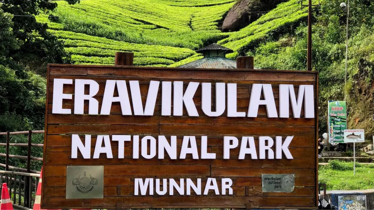 Eravikulam National Park