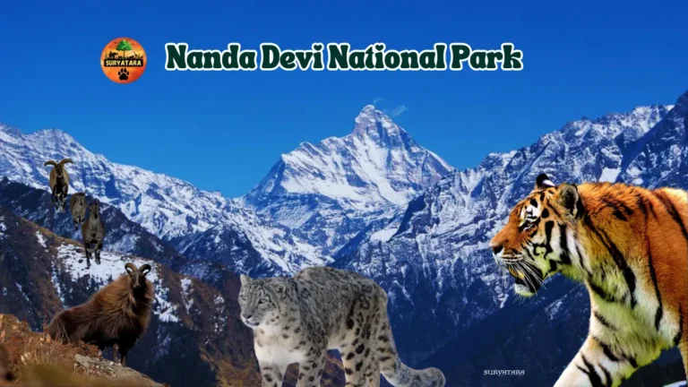 Nanda Devi National Park
