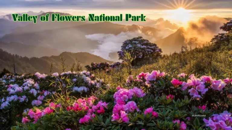 Valley of Flowers Uttarakhand