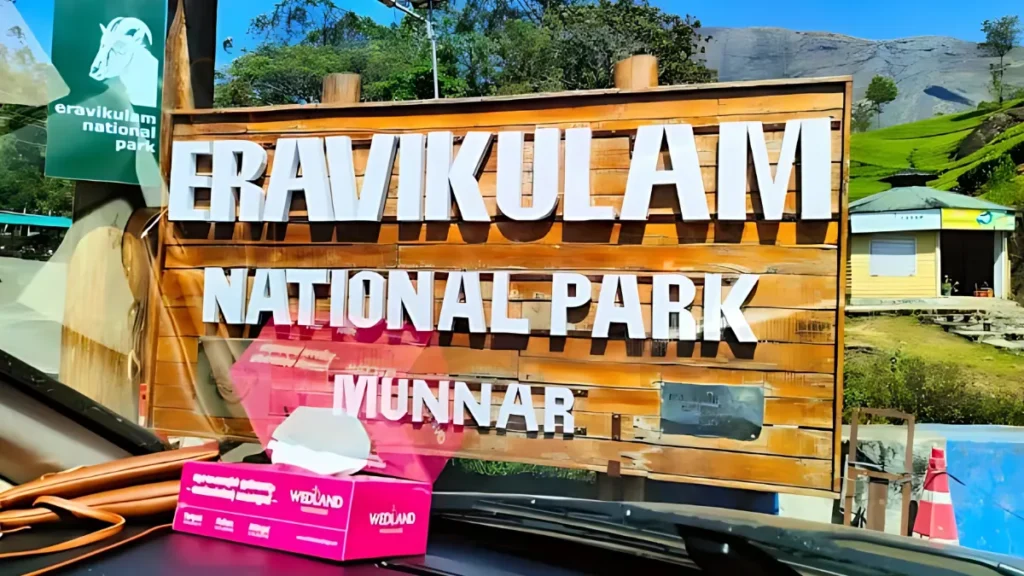 Eravikulam National Park