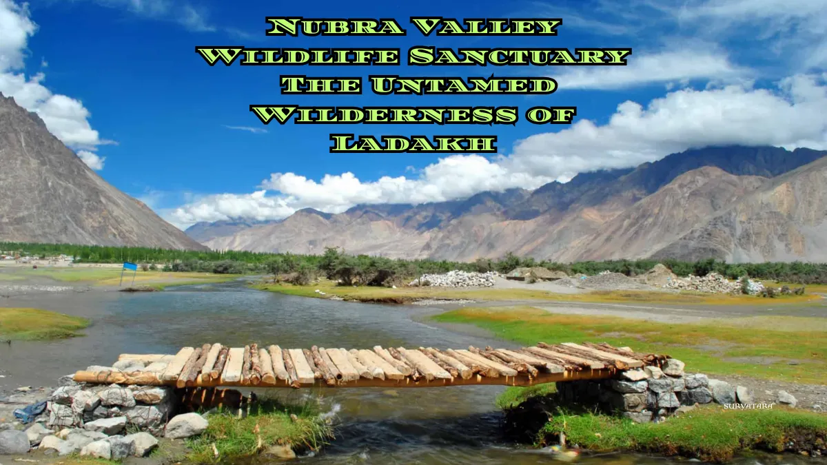 Nubra Valley Wildlife Sanctuary