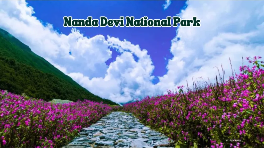 Nanda Devi National Park