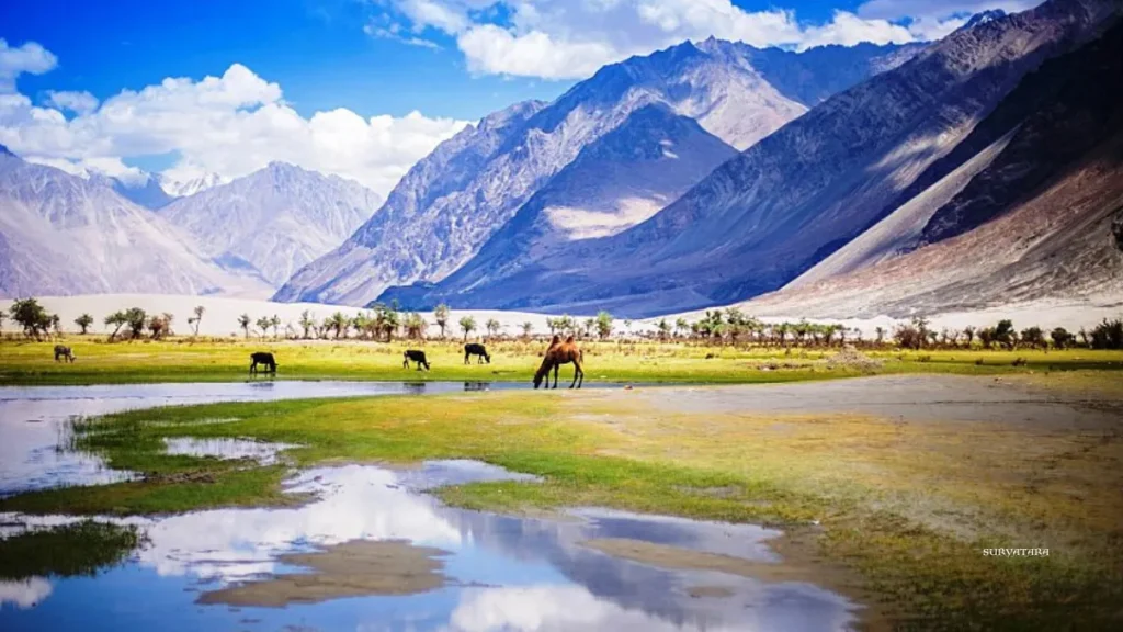 Nubra Valley Wildlife Sanctuary