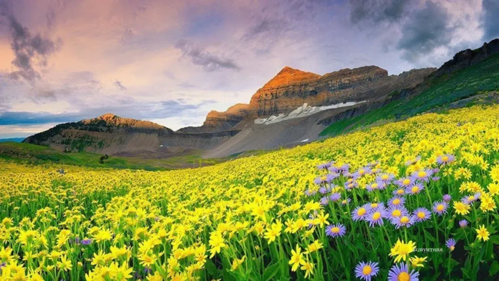 Valley of Flowers Uttarakhand