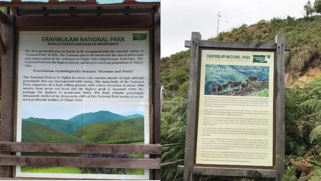 Eravikulam National Park
