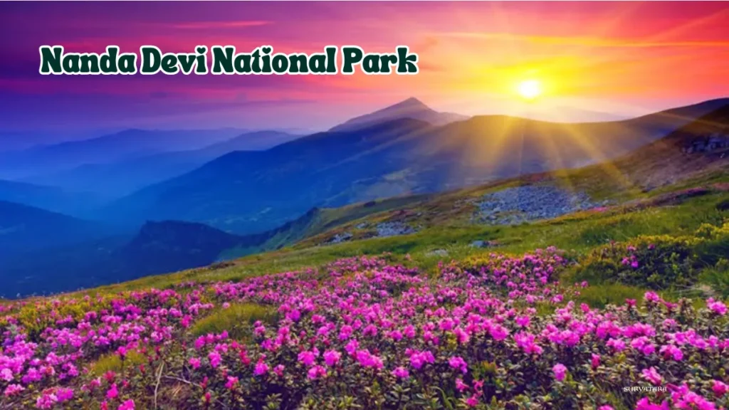 Nanda Devi National Park