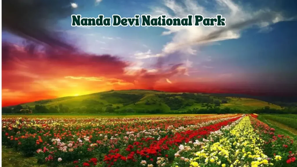 Nanda Devi National Park