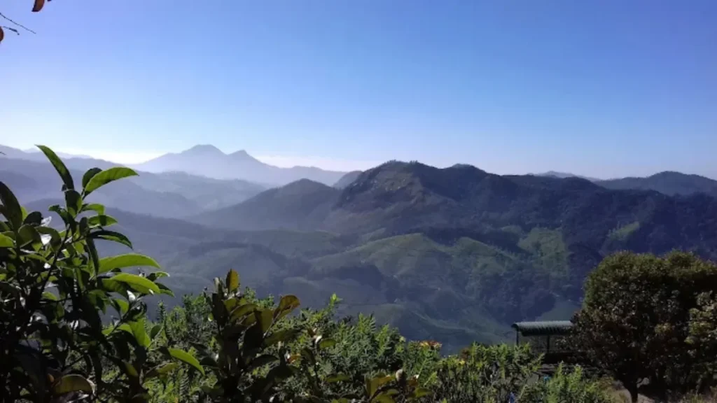 Eravikulam National Park