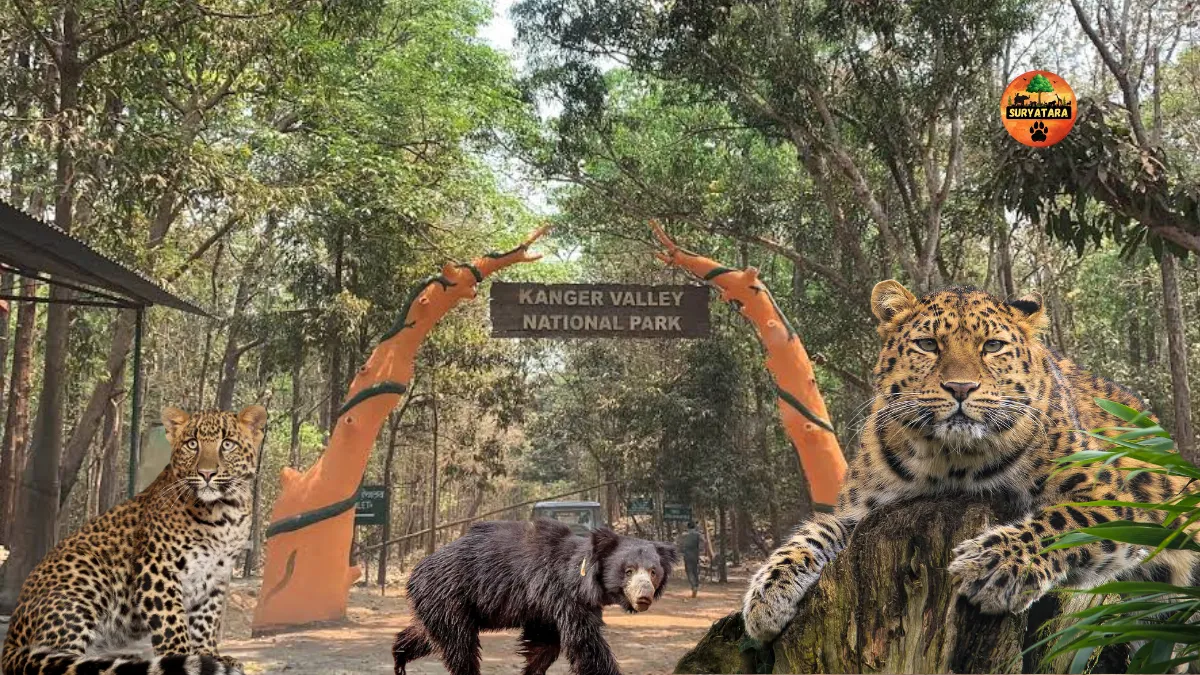 Kanger Ghati National Park