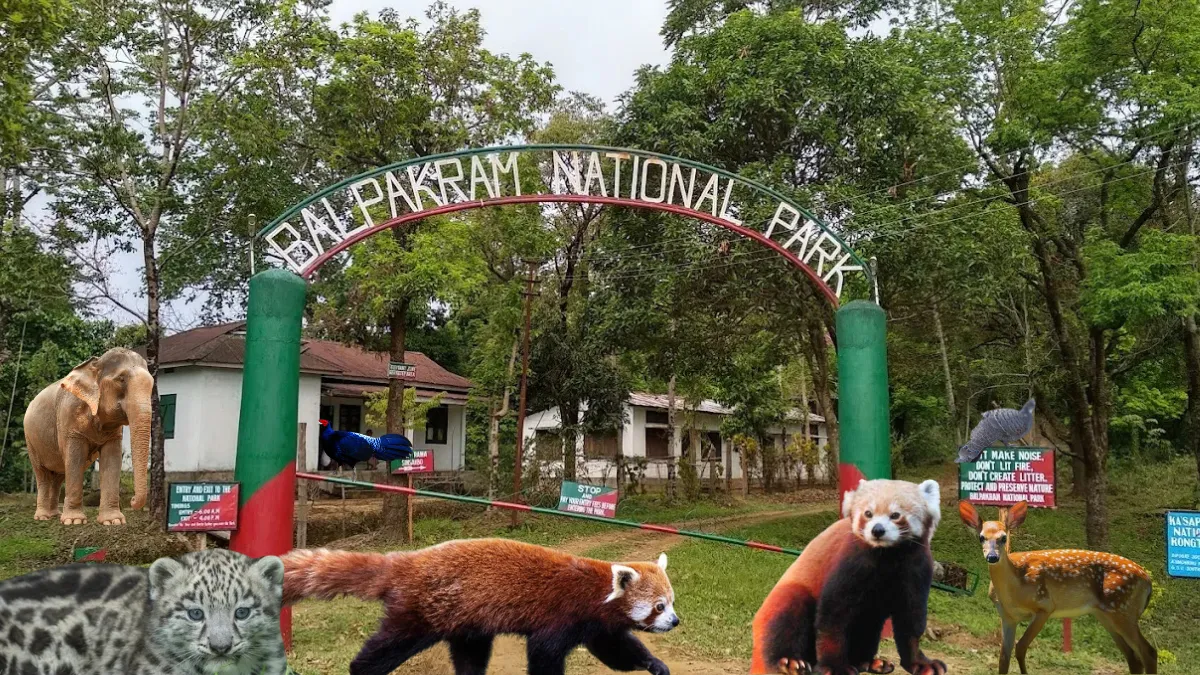 Balphakram National Park
