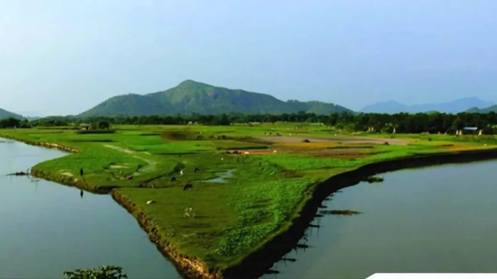 THE 10 BEST Assam Tours for 2025