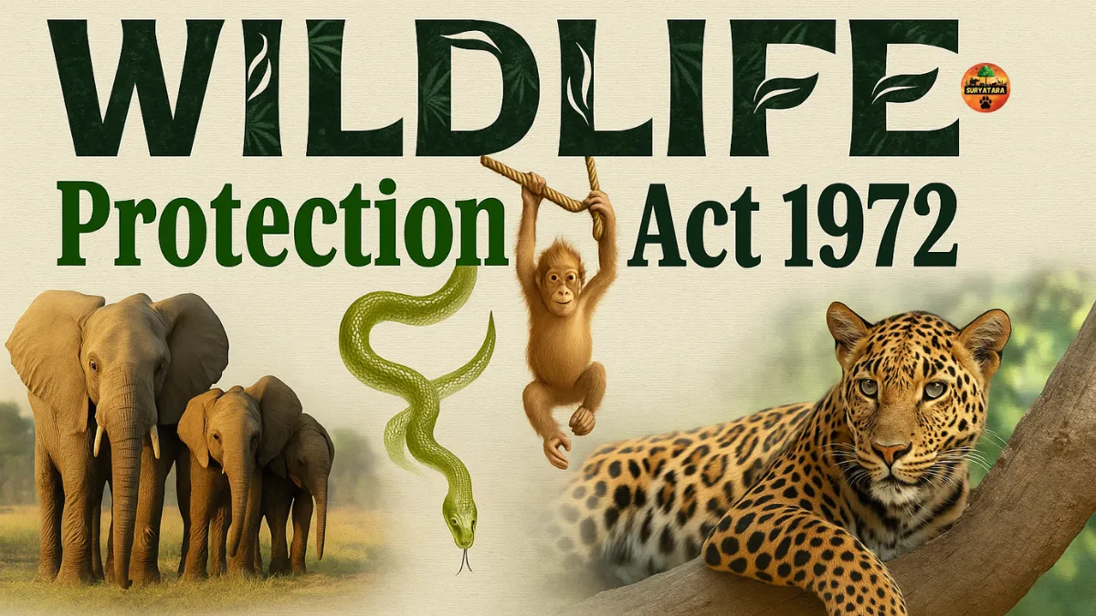 Wild Life Protection Act 1972