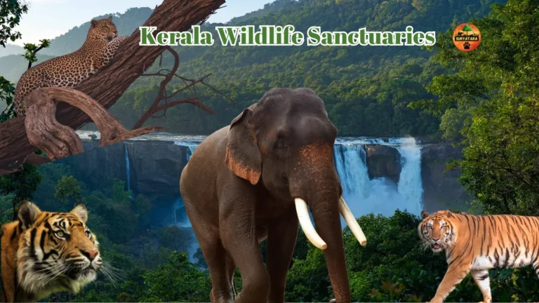 Kerala Wildlife Sanctuaries