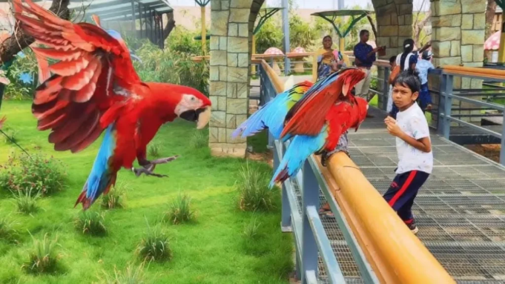 Trichy Birds Park Ticket Price