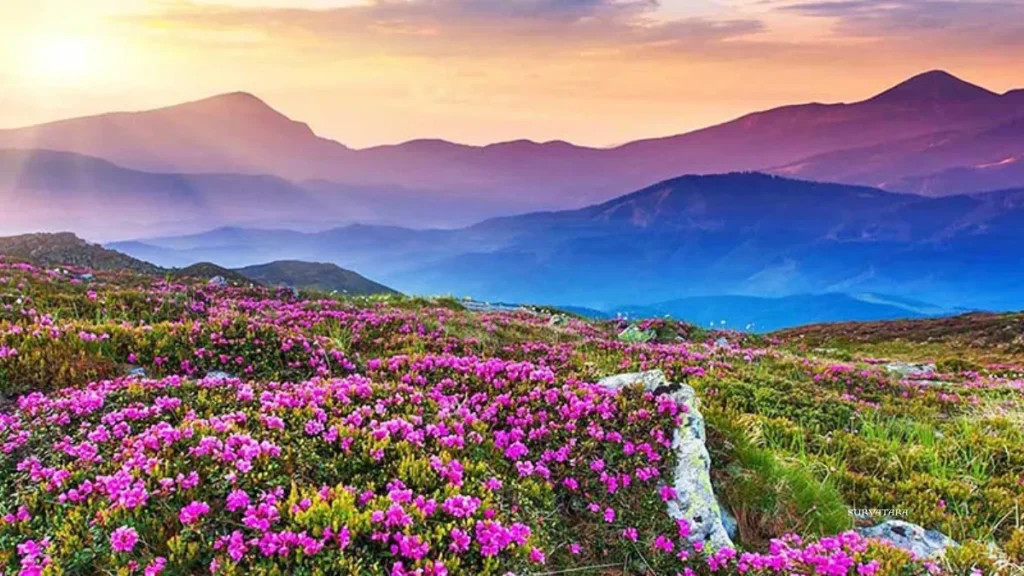 Valley of Flowers Uttarakhand