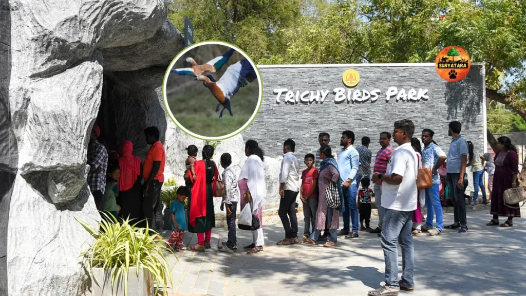 Trichy Birds Park Timings