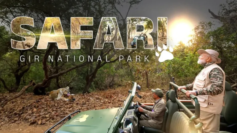 Gir Jungle Safari Location