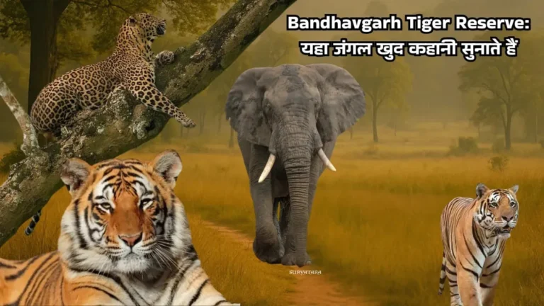 बांधवगढ़ टाइगर रिजर्व