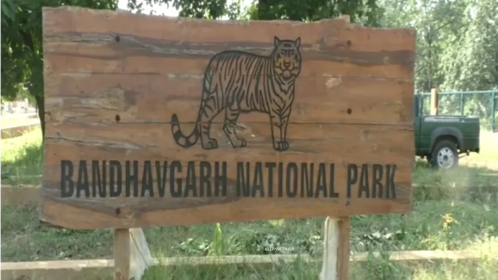 बांधवगढ़ टाइगर रिजर्व