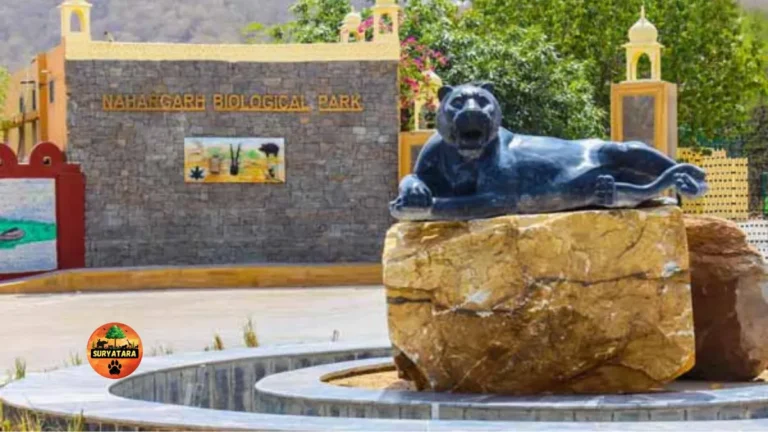 Nahargarh Biological Park