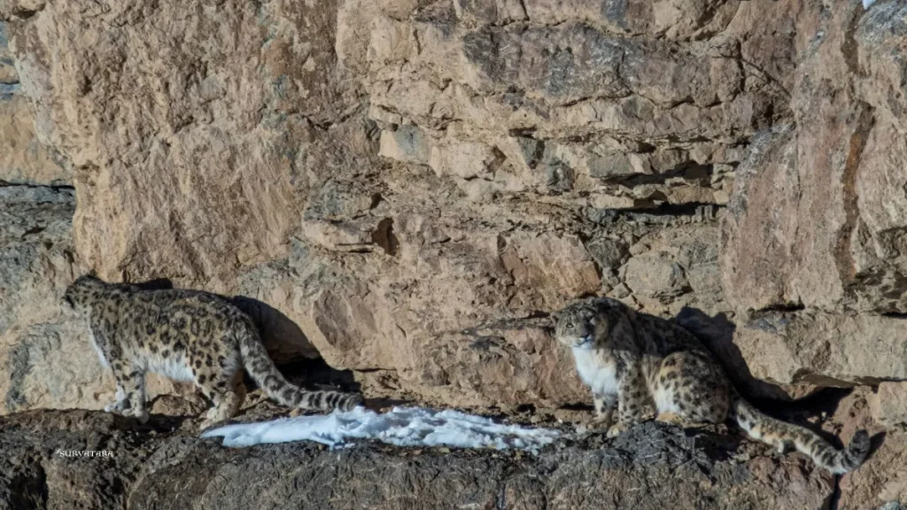 Gya-Miru Wildlife Sanctuary