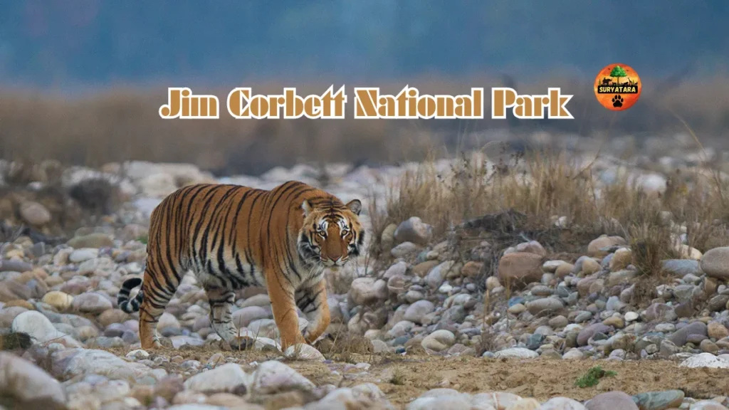 Jim Corbett National Park