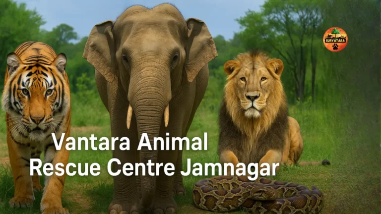 Vantara Animal Rescue Centre Jamnagar