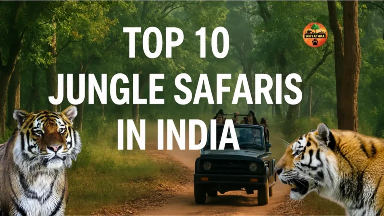 Top 10 Jungle Safaris in India