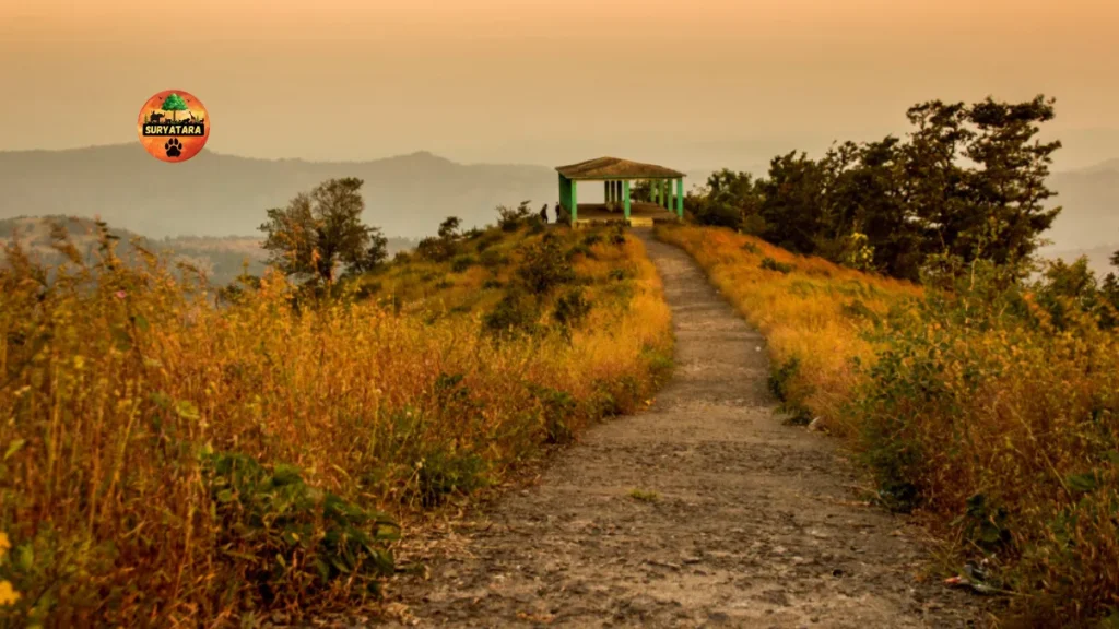 Best Time to Visit Wilson Hill