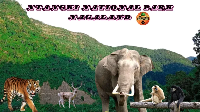 Ntangki National Park