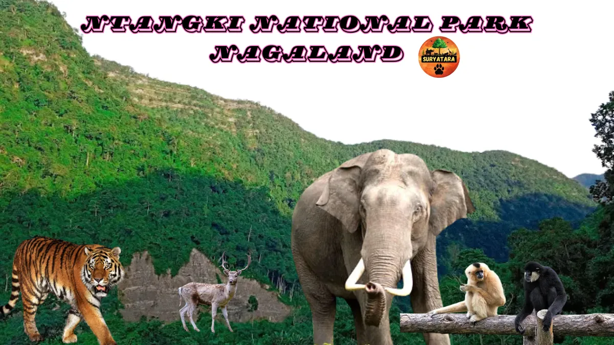 Ntangki National Park