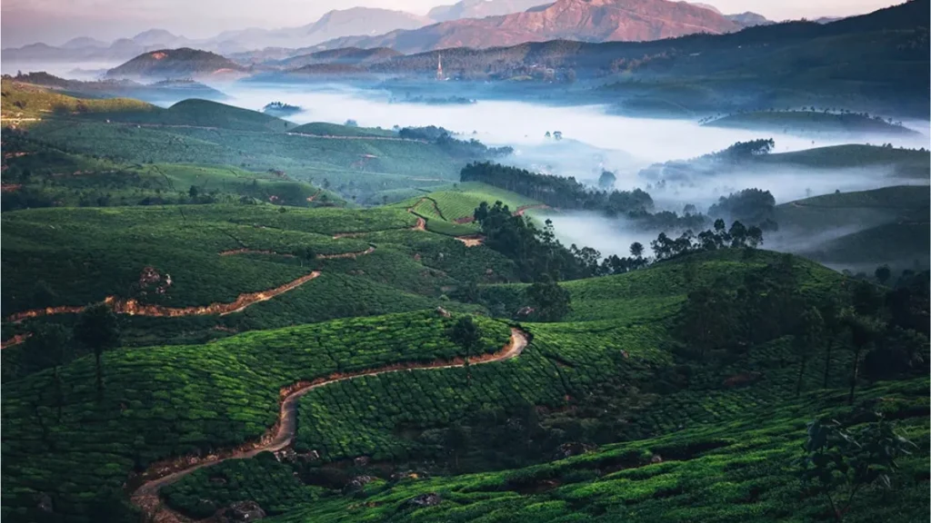 Munnar tourist places