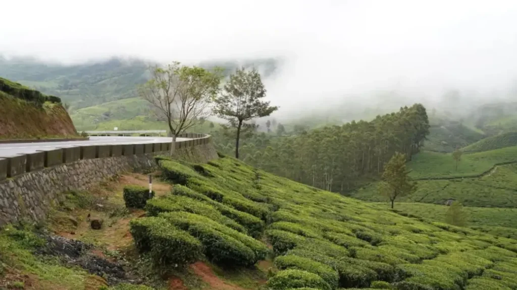 Munnar tourist places