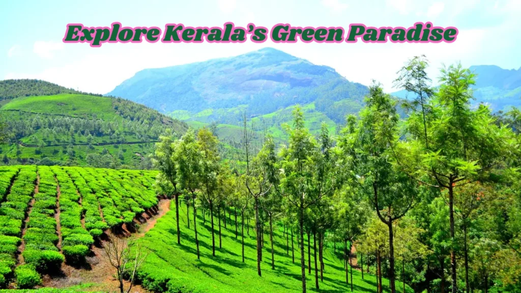 10 Sentences About Munnar